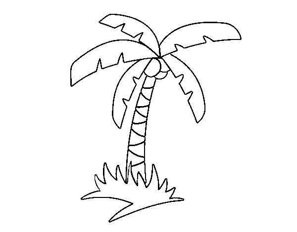 Tropical palm tree coloring page