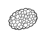 Tuber coloring page