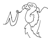 Coloring page Vulture painted bya
