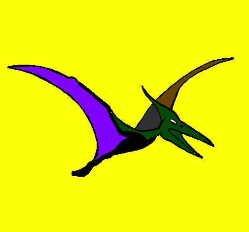 Coloring page Pterodactyl painted byHARVEY