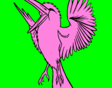 Coloring page Unruly bird painted bytiziana