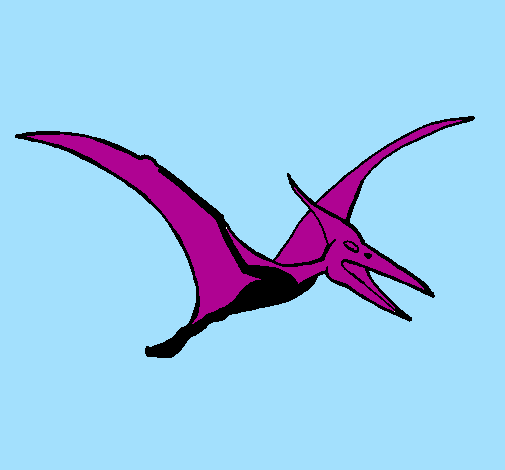 Coloring page Pterodactyl painted bysebastian vallet velez