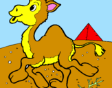 Coloring page Camel painted byramon
