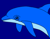 Coloring page Dolphin painted byvictor