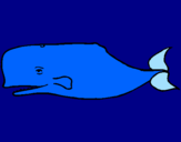 Coloring page Blue whale painted byvictor
