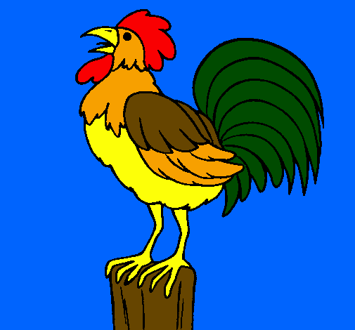 Cock singing