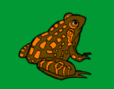 Coloring page Frog painted byL.G