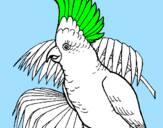 Coloring page Cockatoo painted byL.G