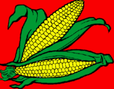 Coloring page Corncob painted byaudrey