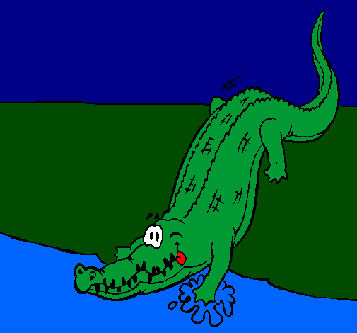 Alligator entering water
