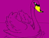 Coloring page Swan in water painted byalejandra