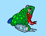 Coloring page Frog painted bypedro saboya