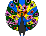 Coloring page Peacock painted byali