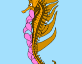 Coloring page Oriental sea horse painted byKutie