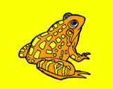 Coloring page Frog painted bysandro