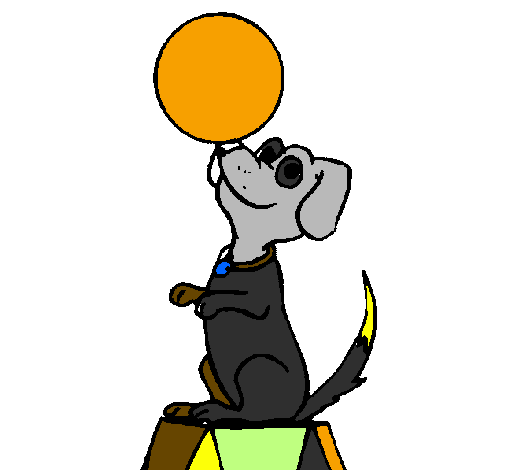 Coloring page Circus dog painted byp%uFFFDouu h 