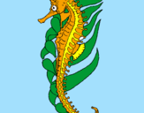 Coloring page Oriental sea horse painted byEllie Walton