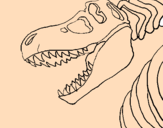 Coloring page Tyrannosaurus Rex skeleton painted byADRIAN
