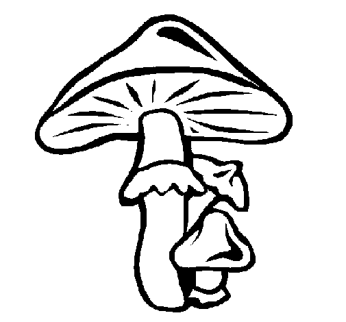 Coloring page Mushrooms painted bypuff