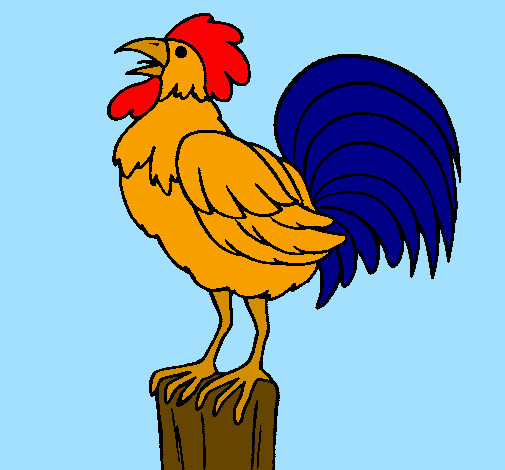 Cock singing