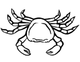 Coloring page Sea crab painted bypuff