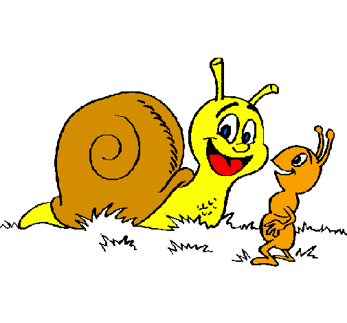 Snail and ant