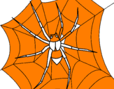 Coloring page Spider painted byhrhrhfhhffhfhfhfhhfhfhfhf