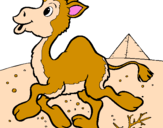 Coloring page Camel painted bymia