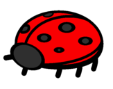 Coloring page Ladybird painted bychloe