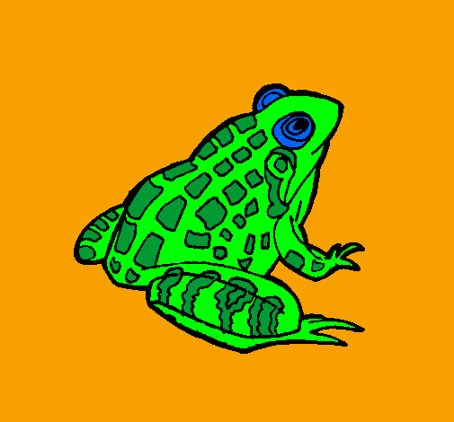 Coloring page Frog painted byRaffaele