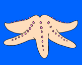 Coloring page Starfish painted byivo