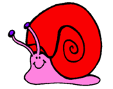 Coloring page Snail painted by clicla