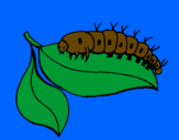 Coloring page Caterpillar on leaf painted byivo