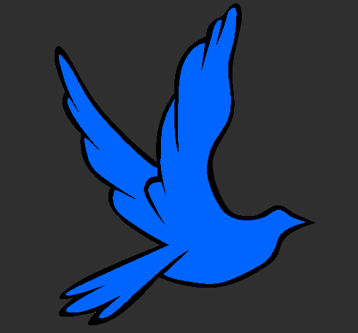 Dove of peace in flight