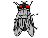 Coloring page Black fly painted bycarlos