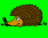 Coloring page Hedgehog painted bymariana