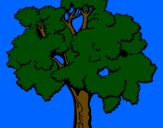 Coloring page Tree painted bylorenzoc,
