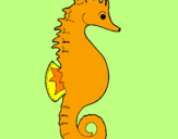 Coloring page Sea horse painted byThieli