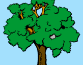Coloring page Tree painted bytree
