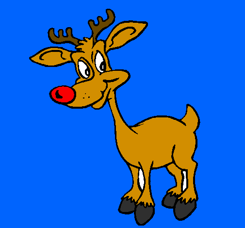 Young reindeer