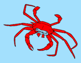 Coloring page Sea crab painted byñl{l{l