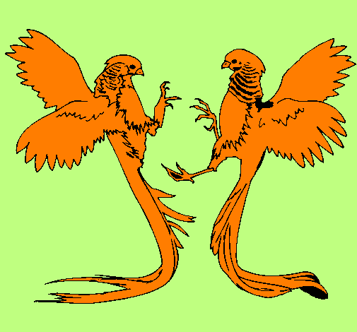 Long-tailed birds