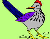 Coloring page Roadrunner painted byFoolorp