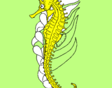 Coloring page Oriental sea horse painted byjacob