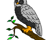 Coloring page Barn owl painted byalex