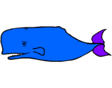 Coloring page Blue whale painted bydaniel