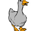 Coloring page Goose painted byalex