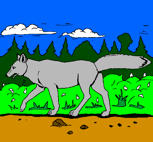 Coloring page Coyote painted byana luiza