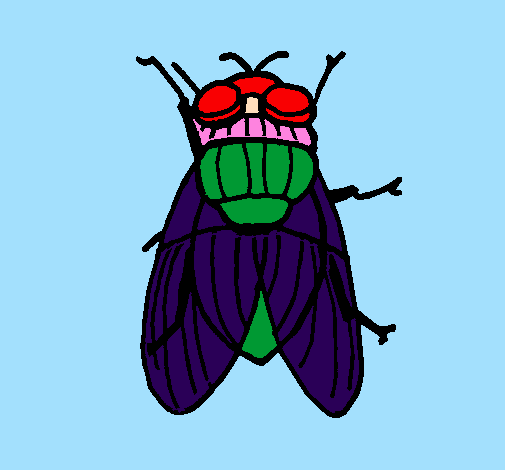 Coloring page Black fly painted byana luiza