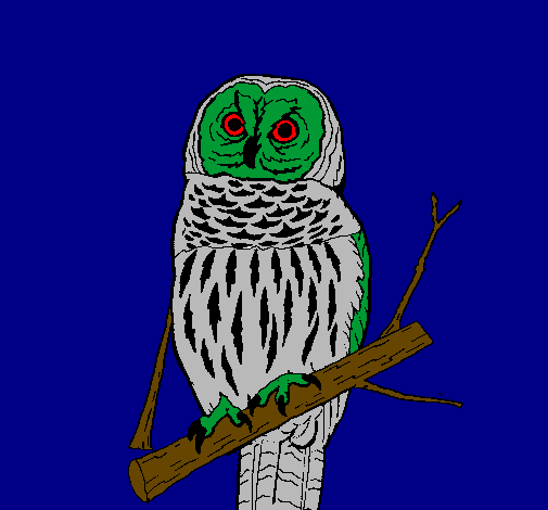 Striped owl